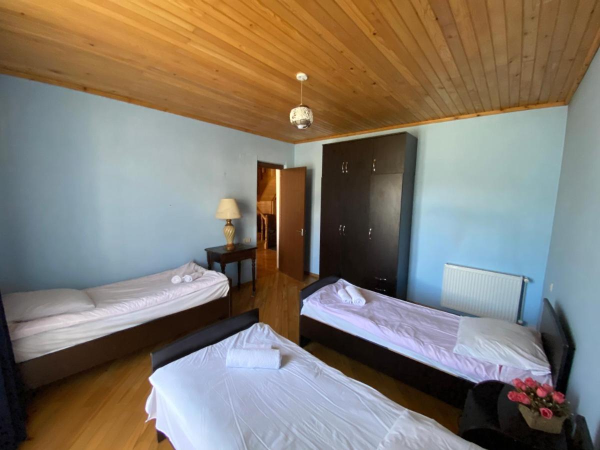Manana Japaridze'S Guesthouse Mestia Zewnętrze zdjęcie